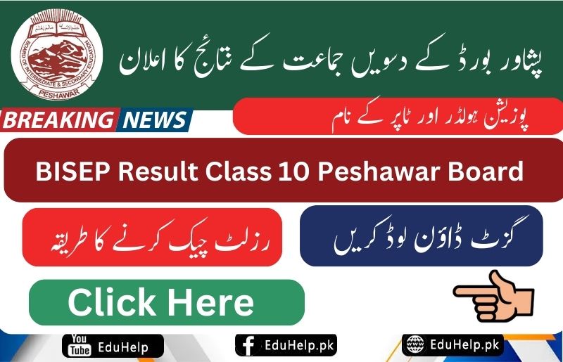 BISEP Result 2024 Class 10 Peshawar Board